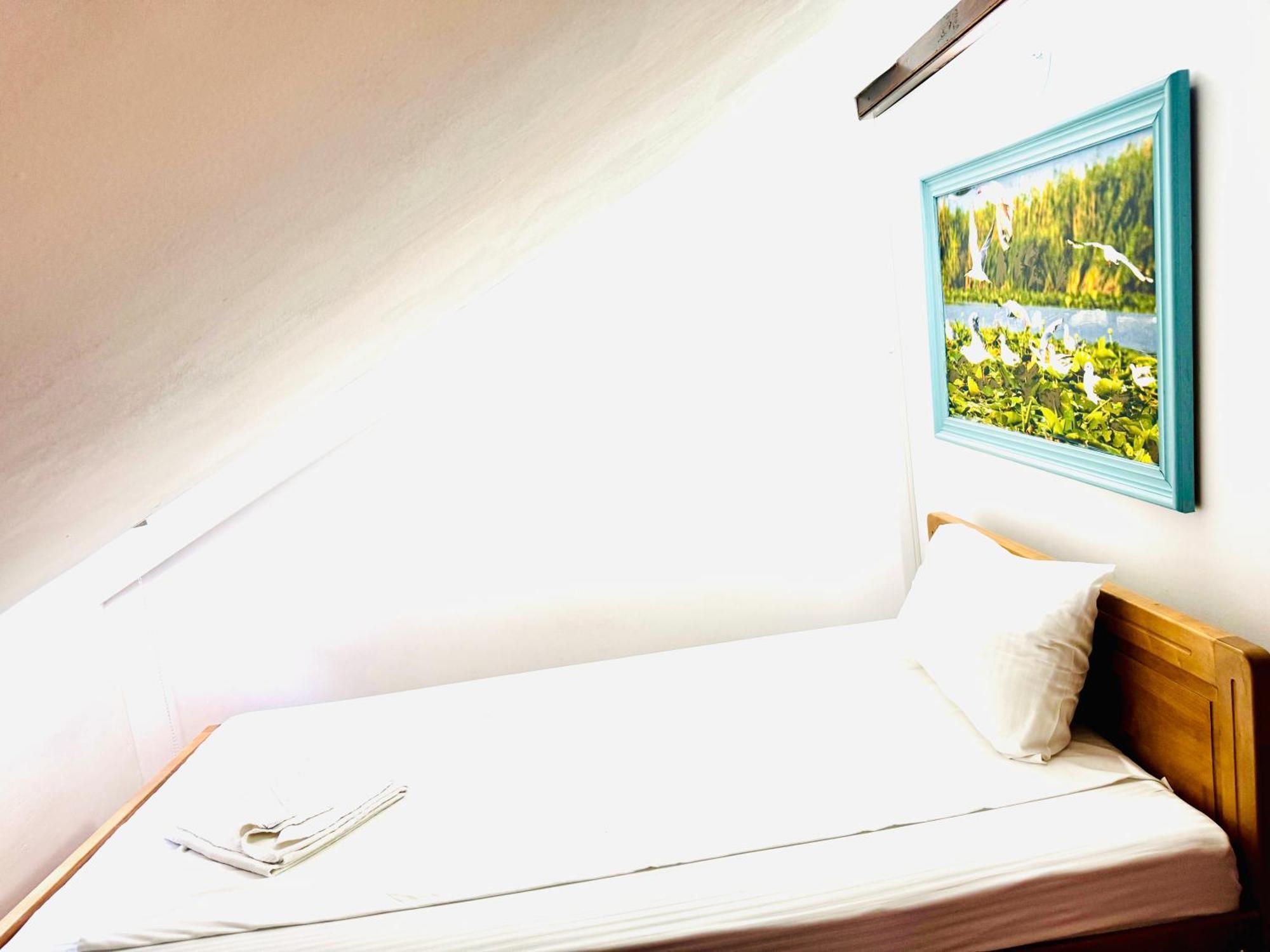 Zen Eco Villa Sfântu Gheorghe Extérieur photo